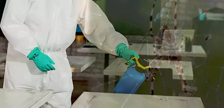 Why Buyers Still Want Homes With Pest Infestations in Las Vegas, NV?