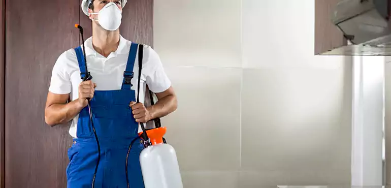 Why Las Vegas Homeowners Choose Us When Pests Make Selling Difficult